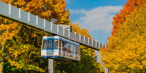 H-Bahn und Bäume mit bunten Blättern im Herbst